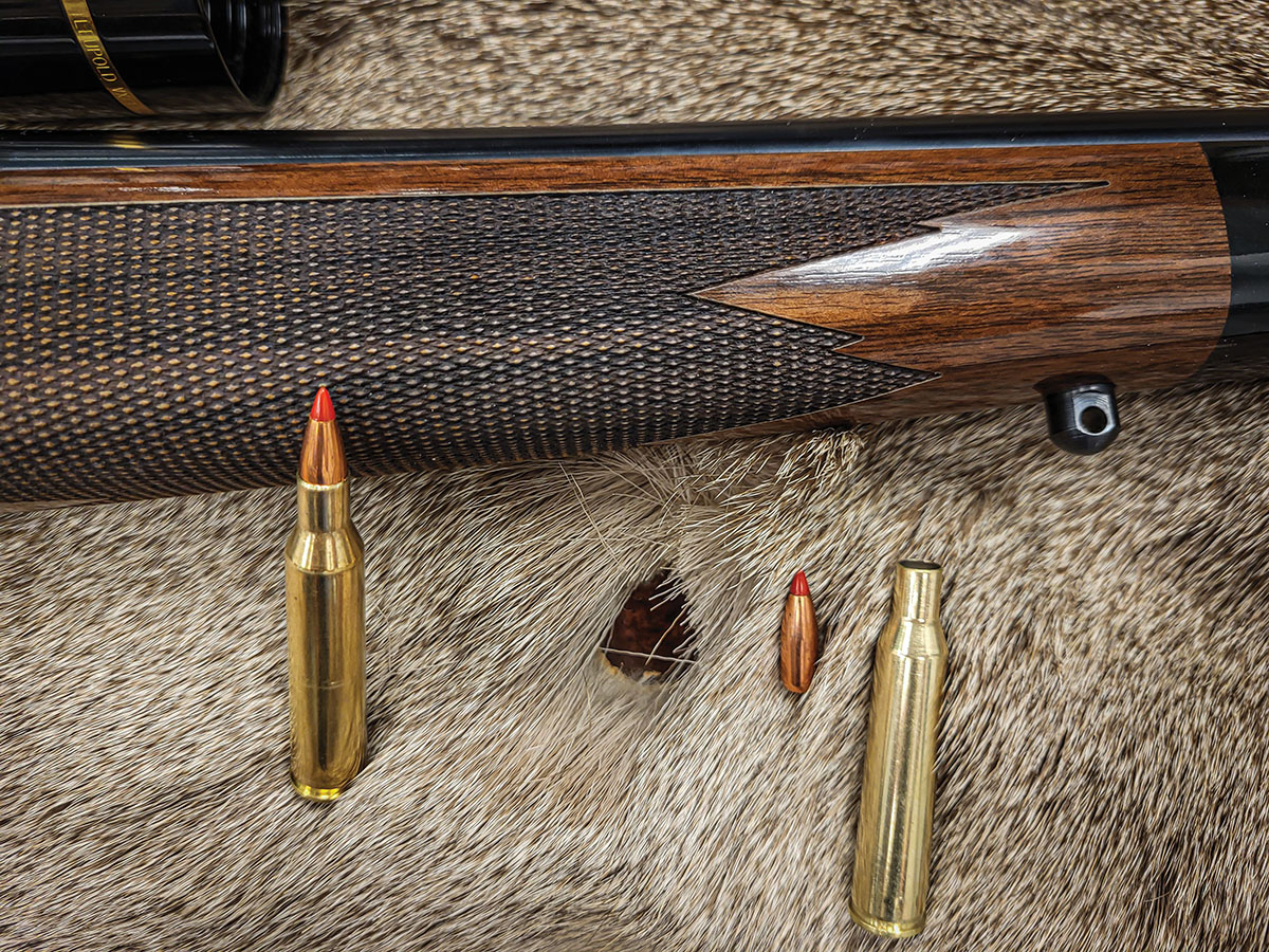 The 220 Swift is known to be hard on pelts. Using the correct bullet can help with this issue. However, most varmint-style bullets will cause significant damage to pelts.